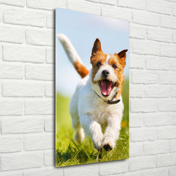 Verticaal glasschilderij Jack Russell hond