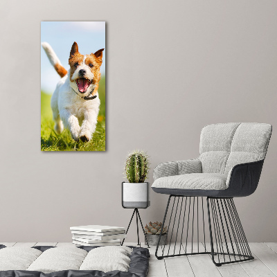 Verticaal glasschilderij Jack Russell hond