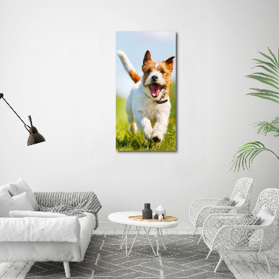 Verticaal glasschilderij Jack Russell hond