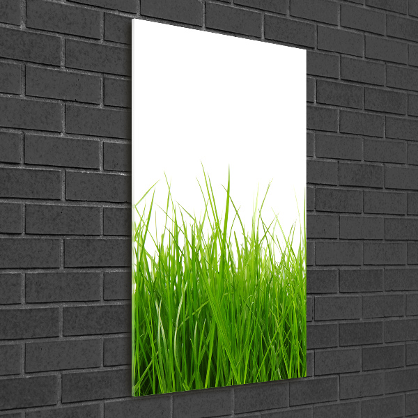 Verticale glasfoto Groen gras
