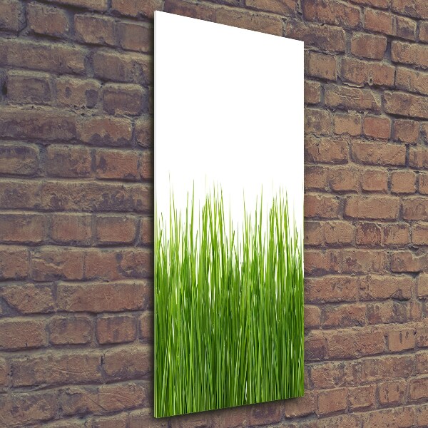 Verticale foto op glas Groen gras
