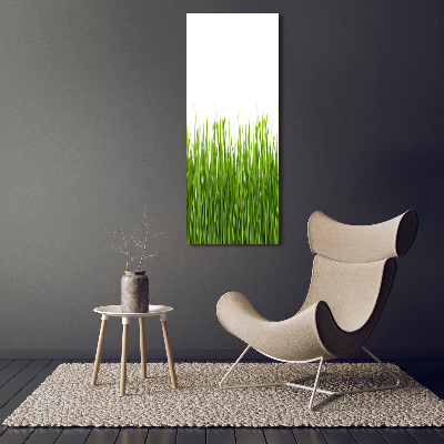 Verticale foto op glas Groen gras