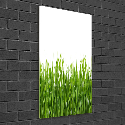 Verticale foto op glas Groen gras