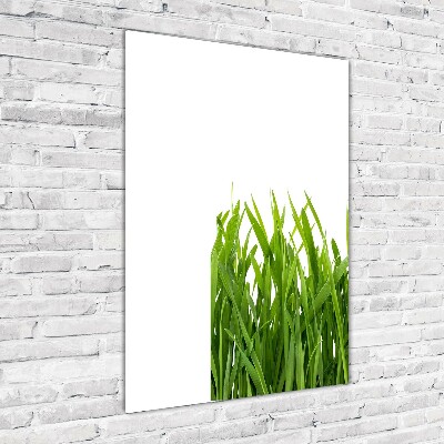 Verticale foto op glas Groen gras