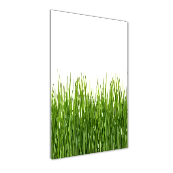Verticale foto op glas Groen gras