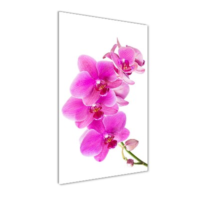 Verticale glasfoto Roze orchidee