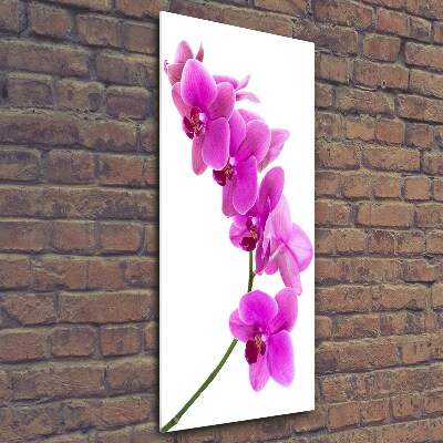 Verticale foto op glas Roze orchidee