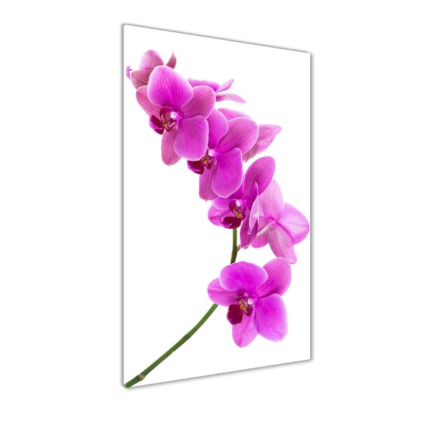 Verticale foto op glas Roze orchidee