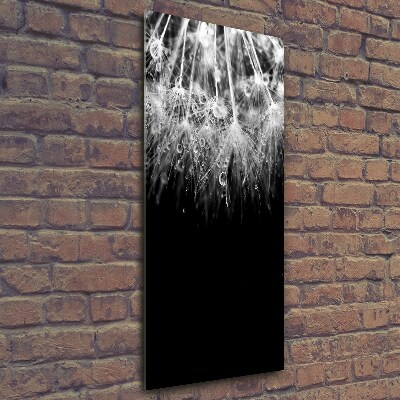 Foto obraz na szkle pionowy Nasiona dmuchawca