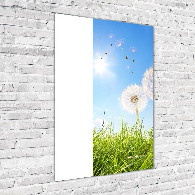 Verticale foto op glas Paardenbloemen in de wei