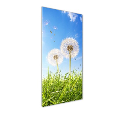 Verticale foto op glas Paardenbloemen in de wei