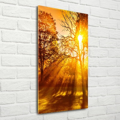 Verticaal glasschilderij Park in de herfst