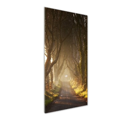 Verticale foto op glas Pad in het bos