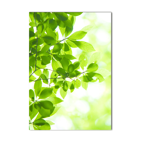 Verticale foto op glas Groene bladeren