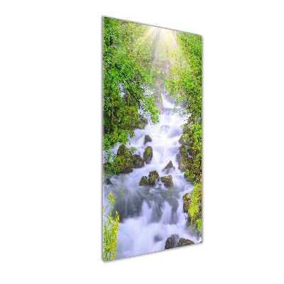 Verticale glasfoto Bergstroom