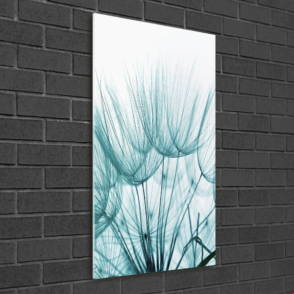 Verticale glasfoto Paardenbloemzaden