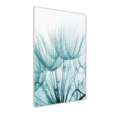 Verticale glasfoto Paardenbloemzaden