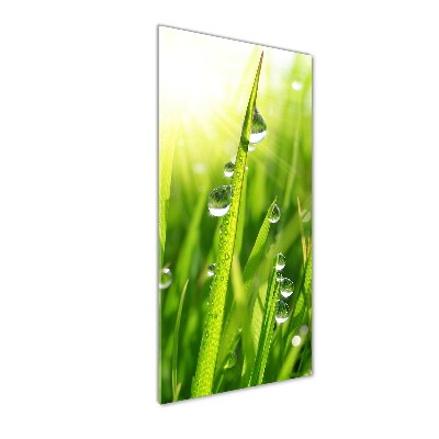 Verticale glasfoto grassprieten