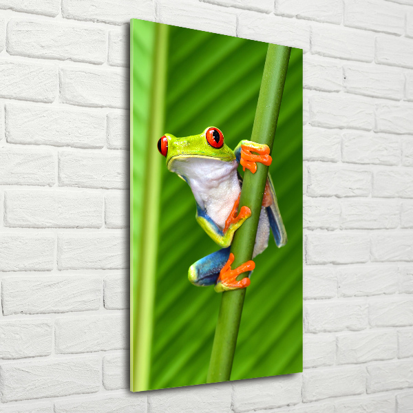 Verticale foto op glas Europese boomkikker