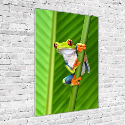 Verticale foto op glas Europese boomkikker