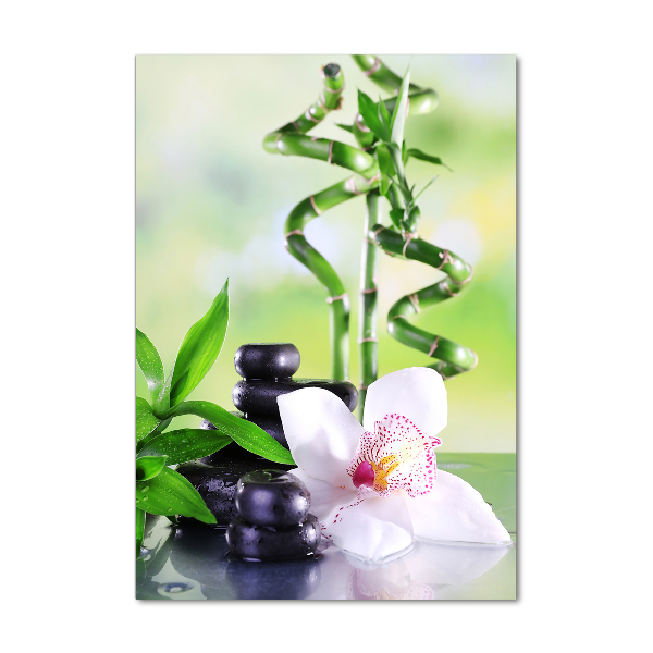 Verticale glasfoto Bamboe