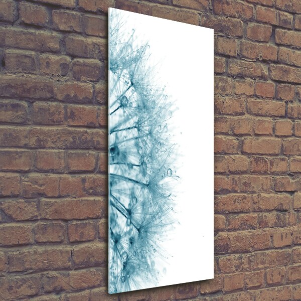 Verticale glasfoto Paardenbloemzaden