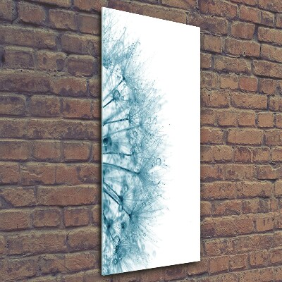 Verticale glasfoto Paardenbloemzaden