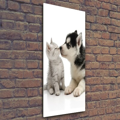 Verticale glasfoto Hond en kat