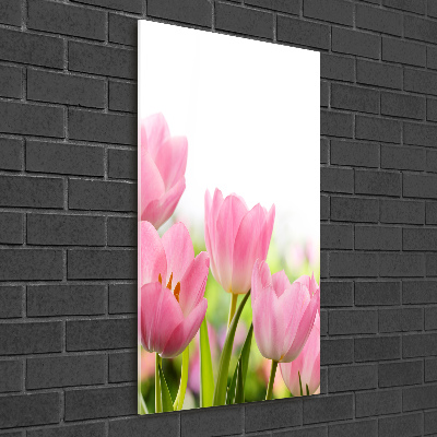 Verticale glasfoto Roze tulpen