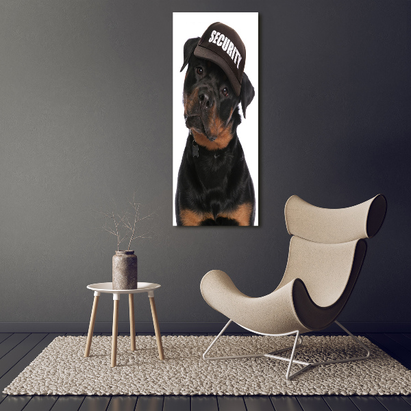 Foto obraz na szkle pionowy Rottweiler w czapce