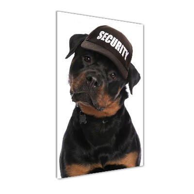 Verticale glasfoto Rottweiler met pet