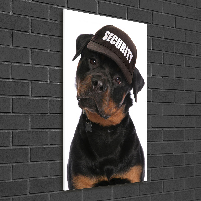 Foto obraz na szkle pionowy Rottweiler w czapce