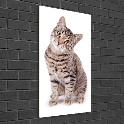 Verticaal glasschilderij Kat