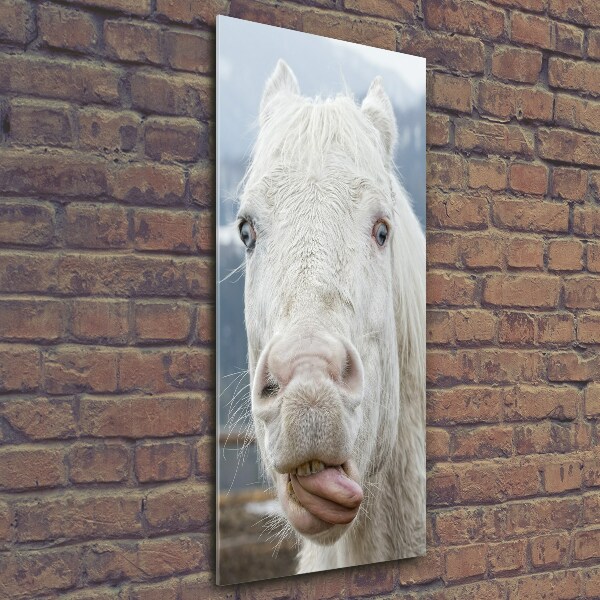 Verticale glasfoto Gek wit paard