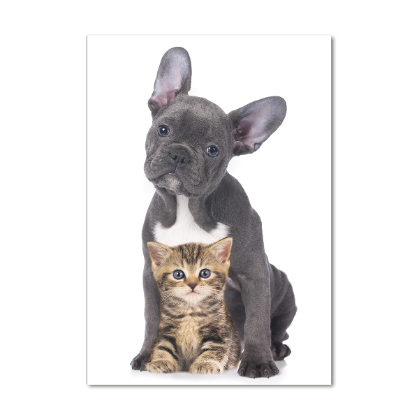 Foto obraz szkło hartowane pionowy Pies i kot