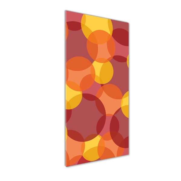 Verticale glasfoto Kleurrijke cirkels