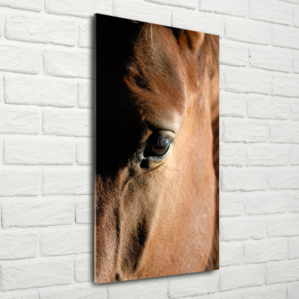 Verticale foto op glas Paard