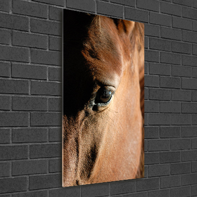 Verticale foto op glas Paard