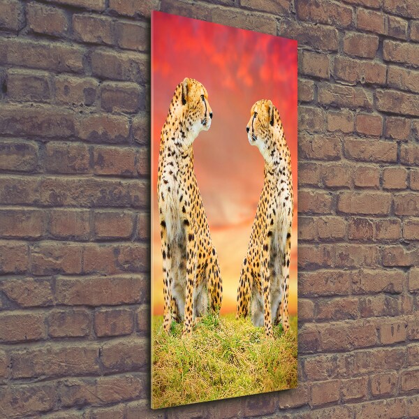 Verticale glasfoto Twee cheetahs