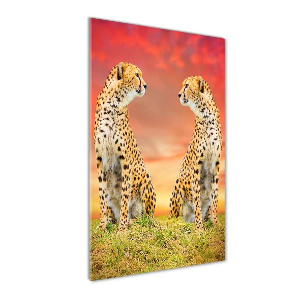 Verticale glasfoto Twee cheetahs