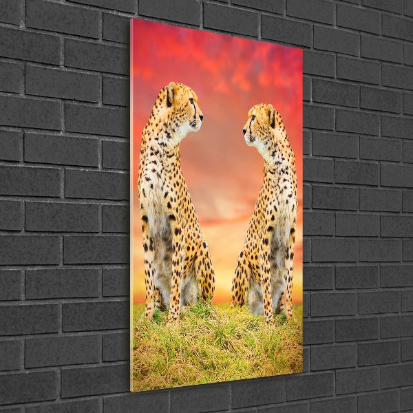 Verticale glasfoto Twee cheetahs