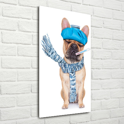 Verticale glasfoto Zieke hond