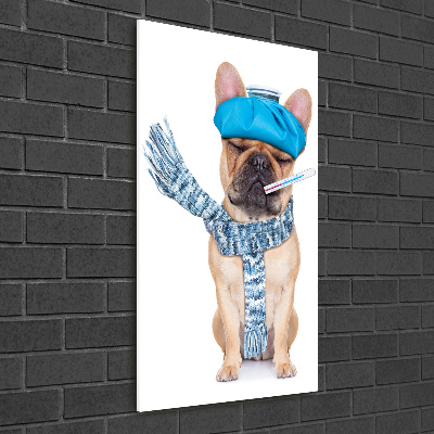 Verticale glasfoto Zieke hond
