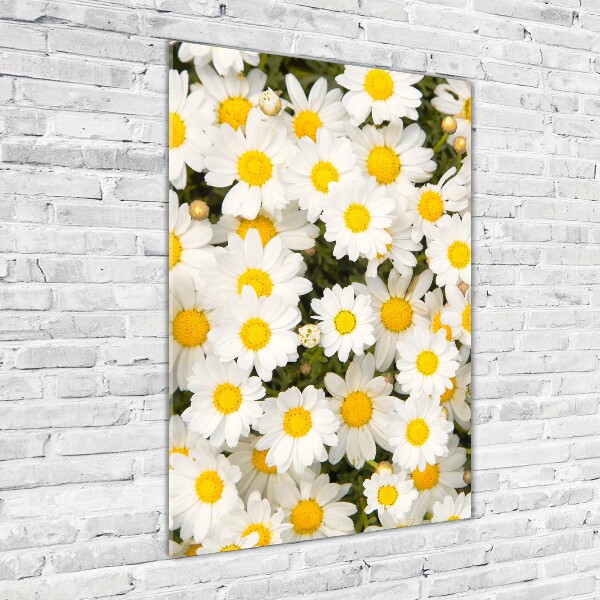 Verticale glasfoto Madeliefjes