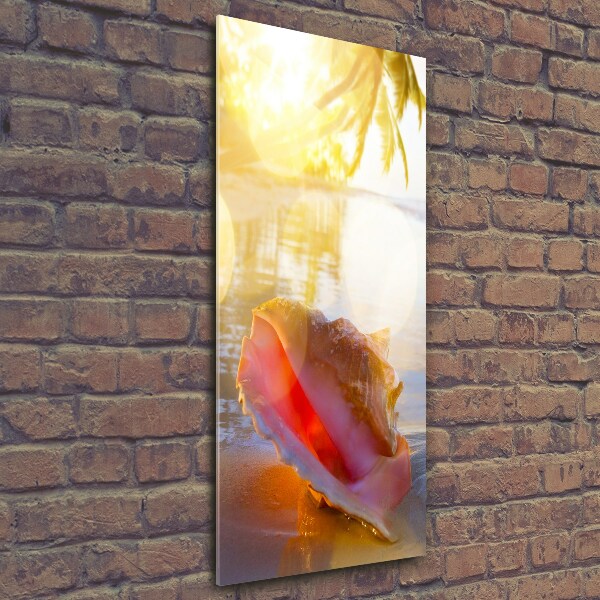 Verticale glasfoto Een schelp op het strand