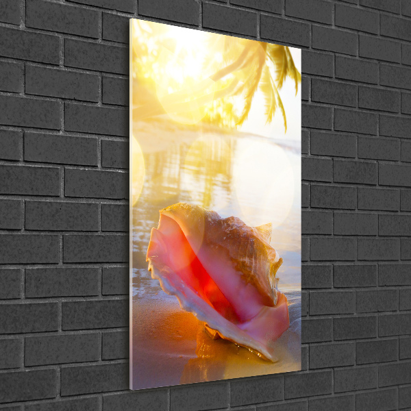 Verticale glasfoto Een schelp op het strand