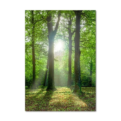 Verticaal glasschilderij De zon in het bos