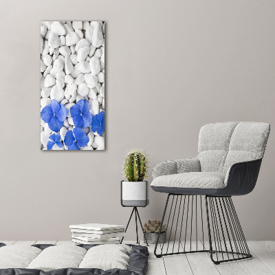Foto obraz na szkle pionowy Hortensja kamienie
