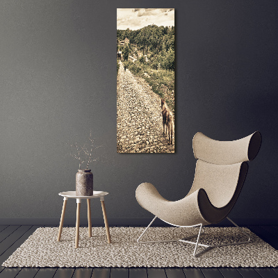 Verticale glasfoto Twee honden van de heuvel