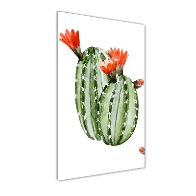 Verticale foto op glas Cactussen